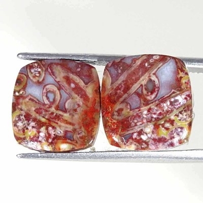 13.40Cts Natural Red Palm Root Agate Cushion Pair Cab Loose Gemstone 13x14x4mm