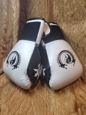 HKA USA Dragon Childs Boxing Gloves 8oz