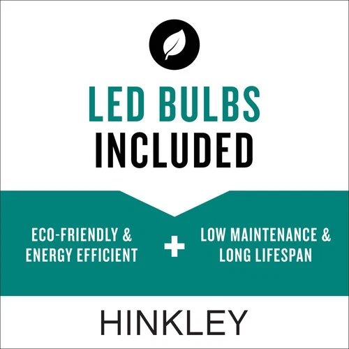 Hinkley Aria 18 1/2"H Buckeye Bronze LED Outdoor Wall Light - Picture 8 of 10