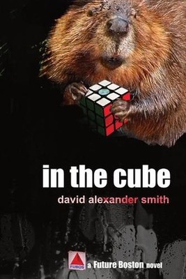 In the Cube by David Alexander Smith Paperback Book