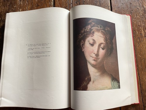 Vtg Italian Art Book Il Parmiganino Armado Ottaviano Quintavalle Coffee Table - Picture 15 of 19