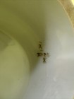 Picture 13 of 19