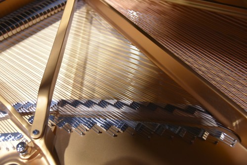 Steinway & Sons Model B Grand 2022, A dream piano from Steinway HP Ebony. - Picture 11 of 22