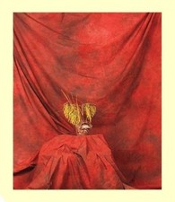 Unique Red Pattered Muslin Backdrop 10 X 12