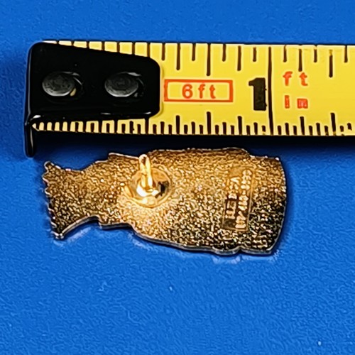 Jester Pin Royal Order of Jesters Freemason ROJ 28 Detroit Billiken Bud Mick - Picture 7 of 7