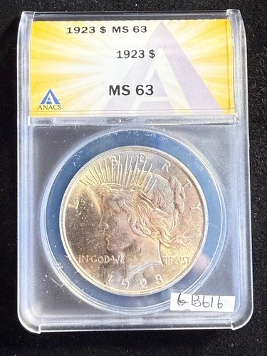 GORGEOUS Toning 1923 $1 Silver Peace Dollar MS 63 ANACS ESTATE US Coin cb616