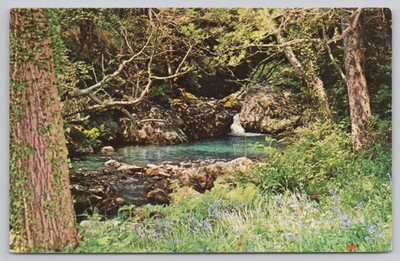 s29193 Ballaglass Glen Isle of Man NPO Dexter Postkarte