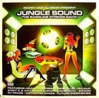 Adam F And DJ Fresh* - Jungle Sound - The Bassline Strikes Back! - 4x12" - VG -