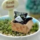 Foto 12 di 14
