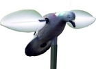 MOJO Outdoors Dove Hunting Decoys and Accessories – (Choose One Size, Multi 