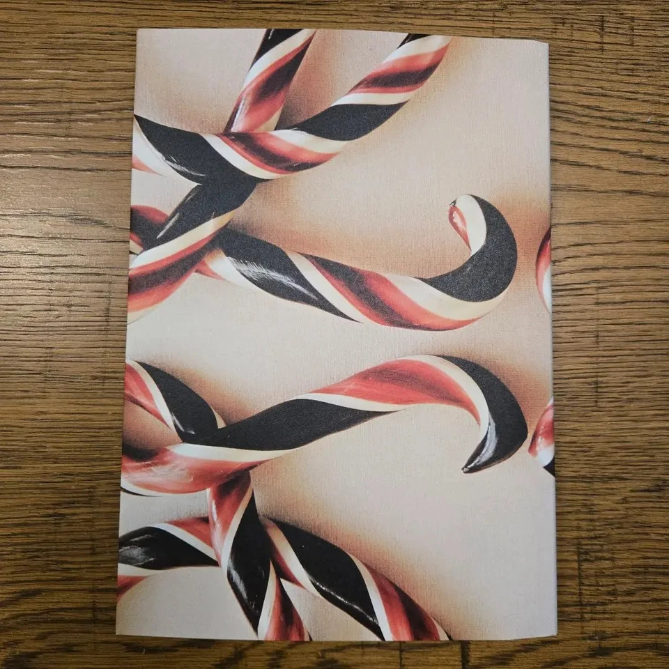 Loewe Issue 9 Catalog 2025 Magazine Book with shopping paper bag Novelty Japan - Image 3 of 4