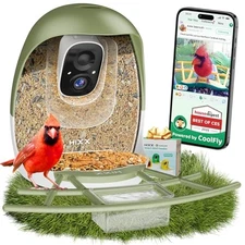  Smart Bird Feeder with Camera, AI Identify Birds & Auto Capture, Forest Green