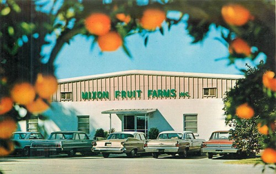 #ad #ad Vintage Mixon Fruit Farms Bradenton FL Postcard Oranges 1950s Cars $6.99