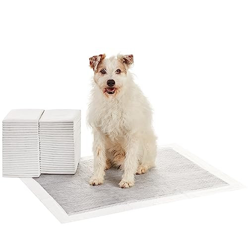 Fini les odeurs de chien avec ce tapis éducateur au charbon actif absorbant