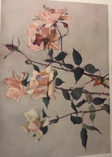 Hermosas flores y cómo cultivarlas por H. J. Wright y WP. Wright, 1922, 1a edición - Imagen 9 de 11