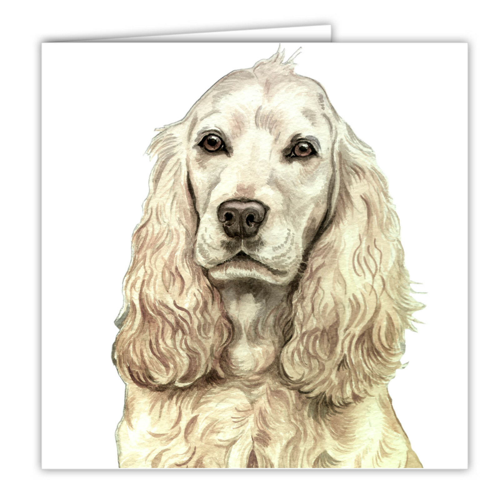 English Cocker Spaniel greetings card dog blank card dogs Cockers Spaniels cards