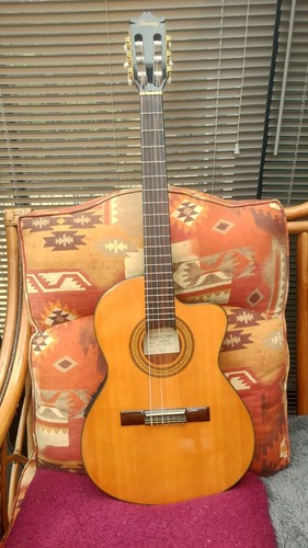 Salvador Ibanez G5ECE-AM akustische E-Gitarre - Single Cutaway