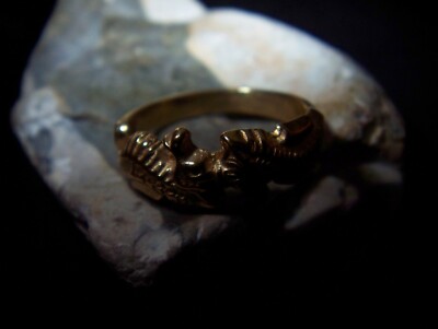 super süßer Designer Ring mit 2 Seepferdchen 585er Gold Gelbgold Neu