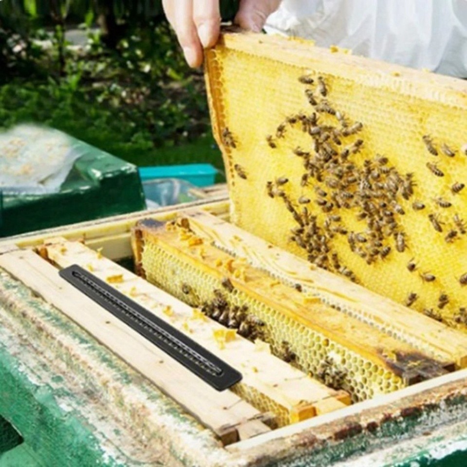 10 Bienenstock Fallen Gegen Käfer - Wiederverwendbare Imker-Ausrüstung Für Gesunde Bienenvölker