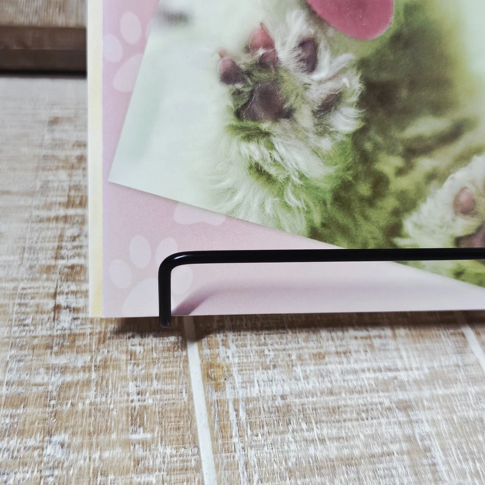 Leanin Tree Get Well Soon Greeting Card Puppy Blue Pink Funny Humor - Image 4 of 4