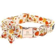 Premium Dog Collars Flower Dog Collar Large Pack of 1  Pumpkin and flower