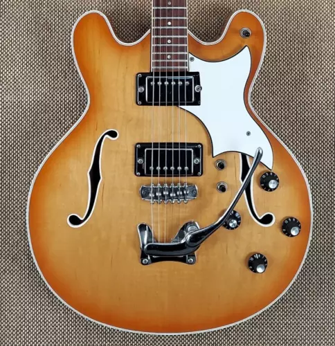 1970's Gene Moles Hollow body - Beautiful Guitar! - Great Player!