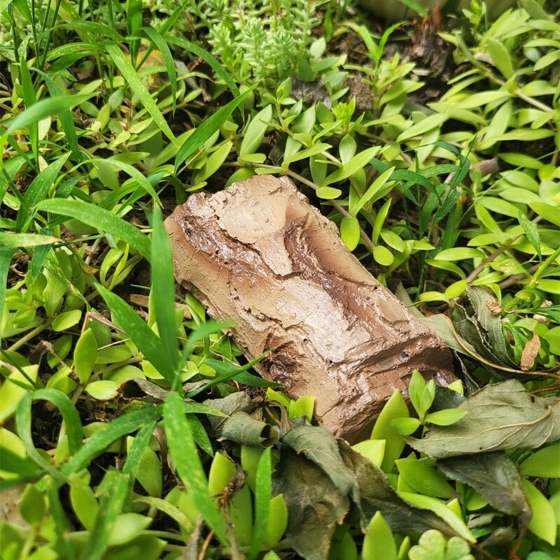 Photo 7/8