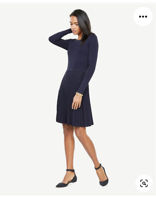NWT Ann Taylor Long Sleeve Shimmer Pleated Sweater Dress Size XS | eBay