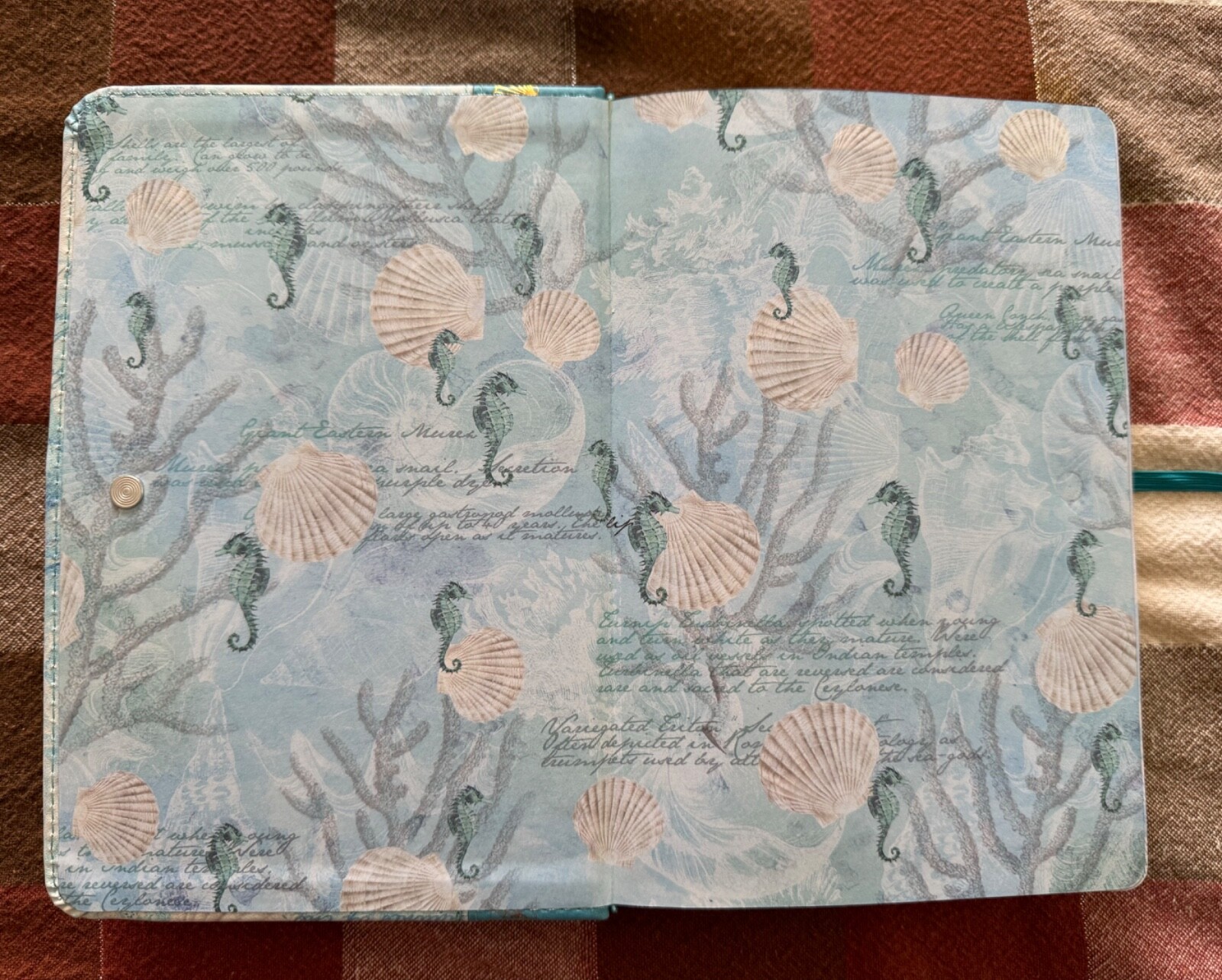 Picture 3 of 11