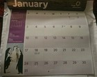 Ocean Conservancy - 2026 - 16-Month Wall Calendar - Ocean Wildlife Photography — photo 2
