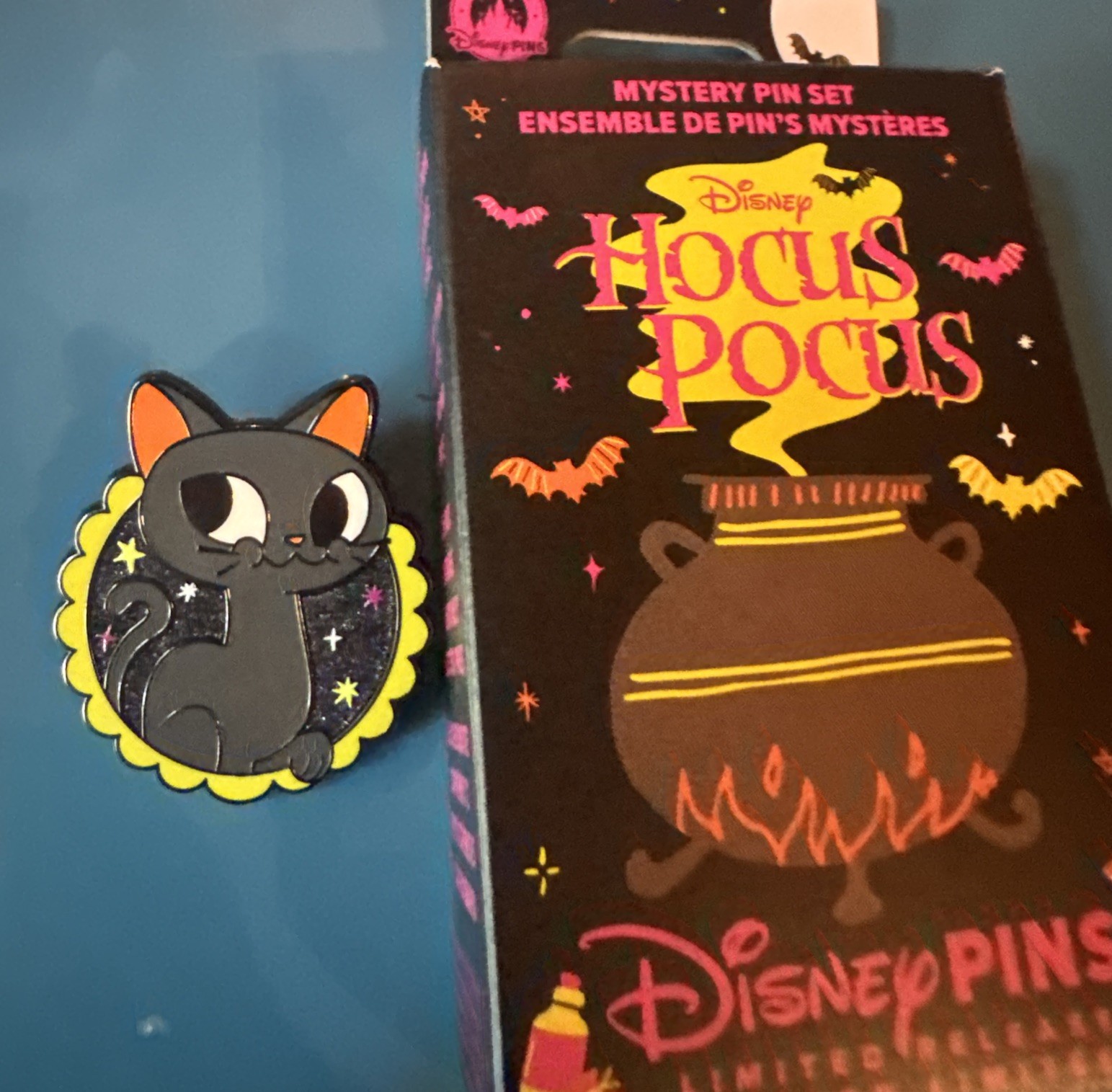 Disney Hocus Pocus Binx the Cat 2026 LR Mystery Pin