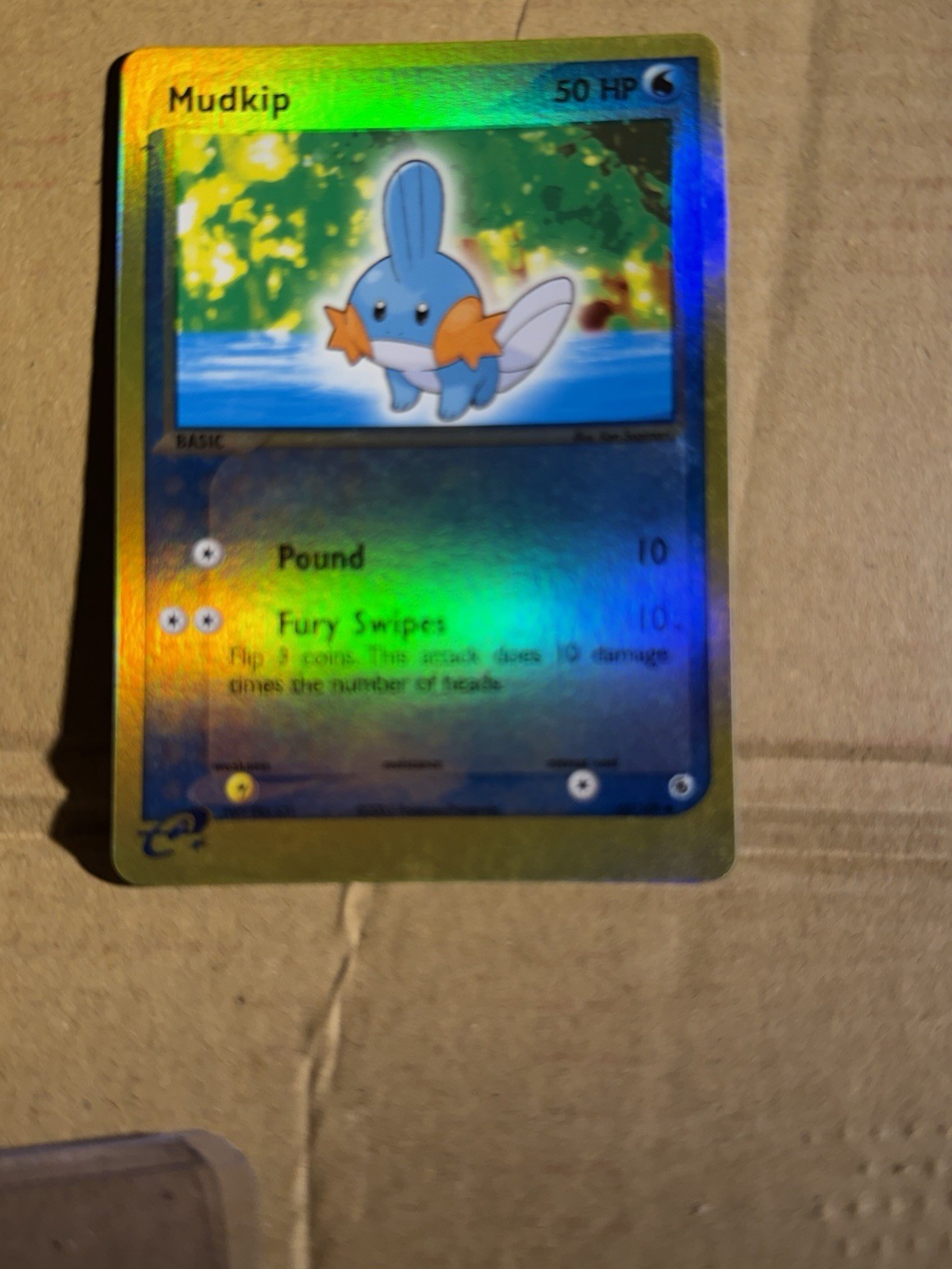 Mudkip 60/109 Ruby & Sapphire Pokemon Card Reverse Holo LP
