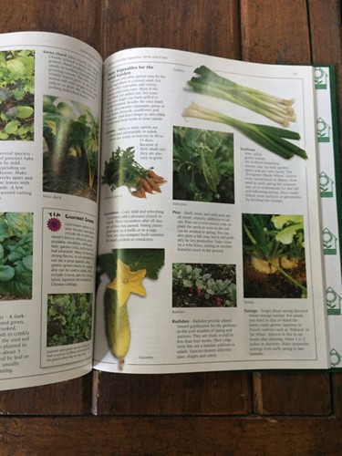 3 x Books Container Gardening Essentials Hummingbirds Butterflies Horticulture - Picture 12 of 17