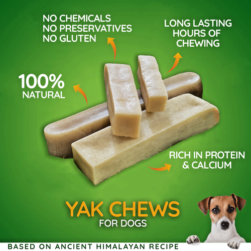 Are Yak Chews Good For Dogs