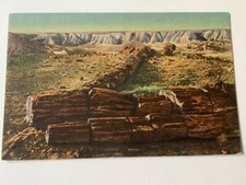 PETRIFIED FOREST National Park Arizona  The Twin Sisters Postcard