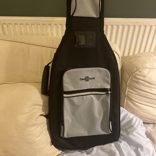 Guitar case eBay