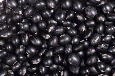 25 Sweet BLACK JET SOYBEAN Edamame Bean Glycine Max Vegetable Legume Seeds