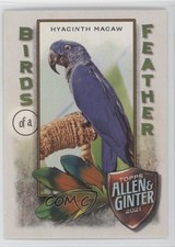 2021 Topps Allen & Ginter's Birds of a Feather Hyacinth Macaw #BOF-6 1ol1