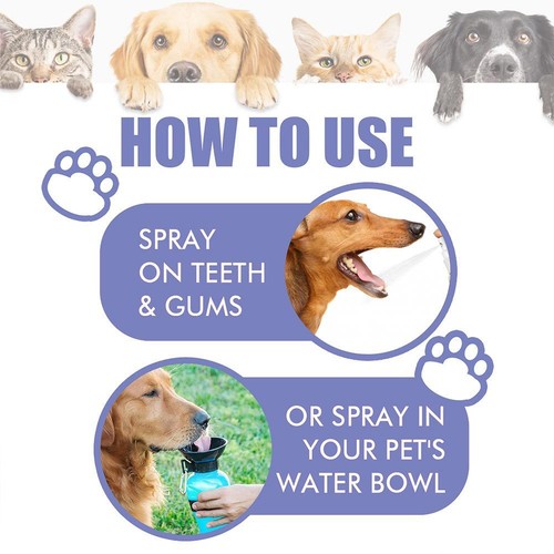 Haustier Spray Zähne Reinigung für Hund/Katze Bad Breath Zahnstein Entfernung-DE - Bild 9 von 10