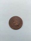 1882 U.S. Indian Head 1 Cent Coin, Free Shipping! (Lot #T89)