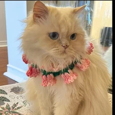 Cute Handmade Knitted Collar For Cat Dog Rabbit Gifts