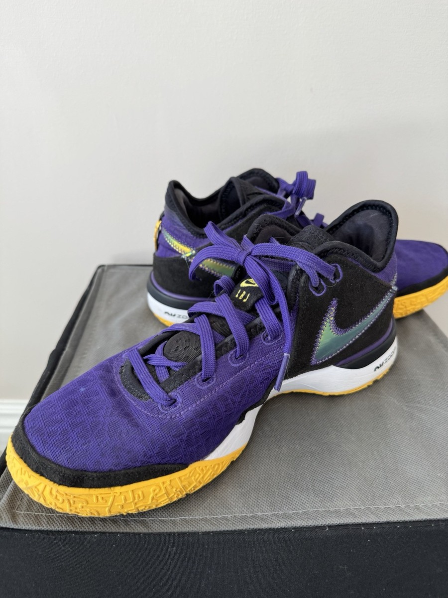 Nike Zoom Lebron Nxxt Gen Ep Dr8788-500 Court Purple/Black-Lt 9.5