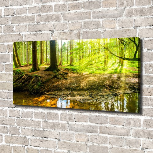 Tableau Sur Toile Tulup 140x70cm – Planète Terre Impression Cosmos