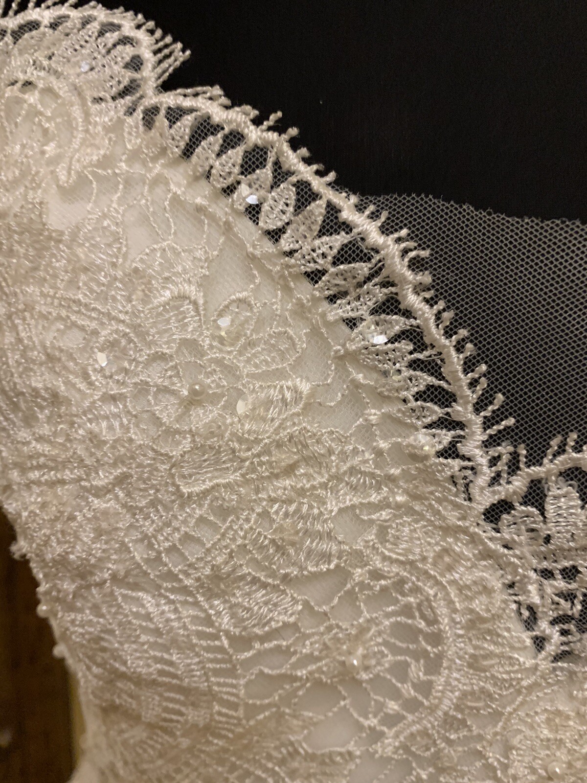 Picture 12 of 12