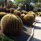 Foto 4 di 6