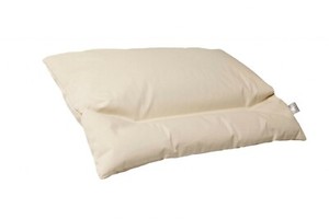 ECCO Buckwheat Pillow Bed Pillow 100/% Organic cotton pillow 60×50 cm