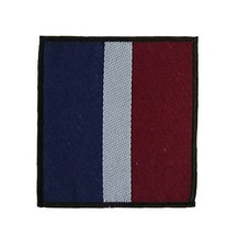 Royal Air Force RAF Regiment DZ Flash 16 Air Assault Attached TRF Badge tf22