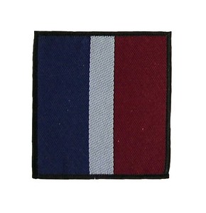 16 Air Assault TRF patch green x 50 Para Guards Royal Irish
