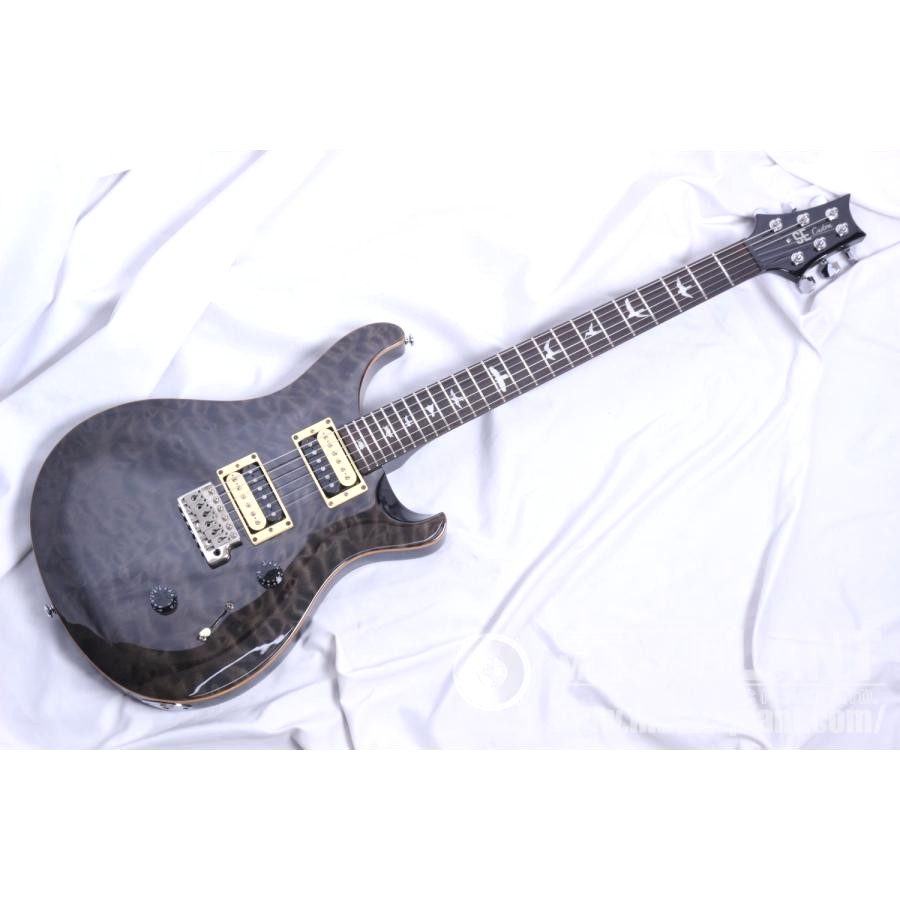 Paul Reed Smith (PRS) 2014 SE Custom 24 Gray Black