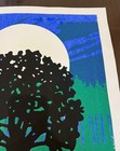 Rare! TOMMY EMMANUEL 2015 Fall Tour USA Signed 18”x24” Screen Print — photo 6